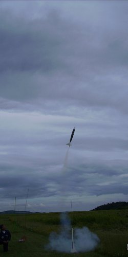 2013 Suche 29062013 Olivera